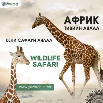 Африкийн аялал - Африк аялал
